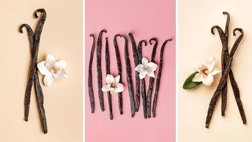 Vanilla Perfumes