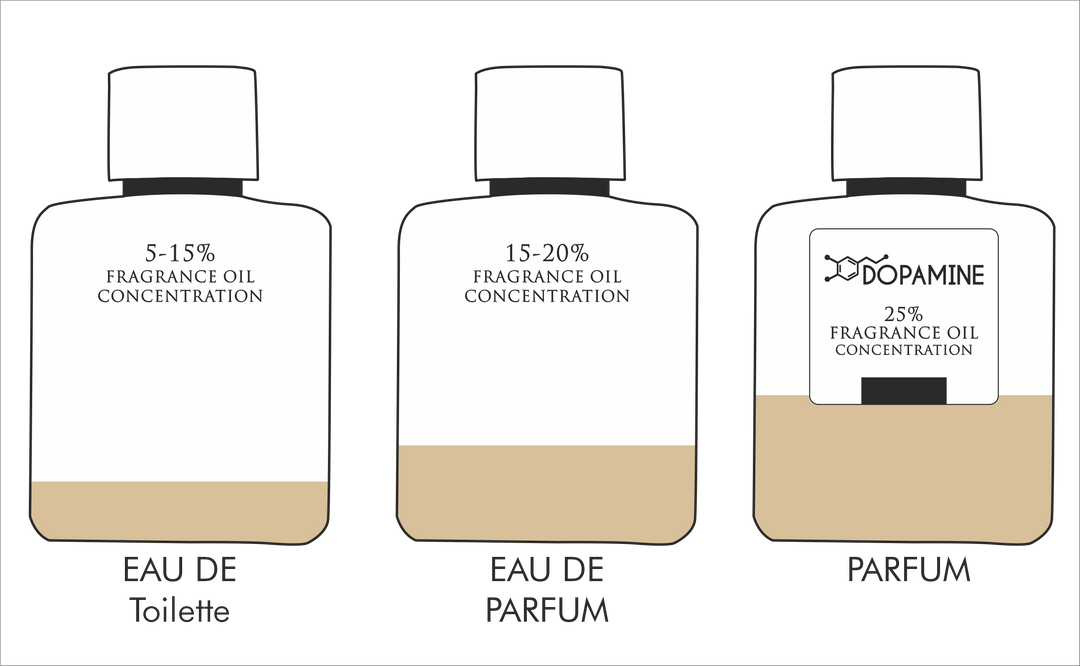 Illustration containing of 3 perfume bottles containing perfume oils in varying degrees to show difference between EDT, EDP and Parfum