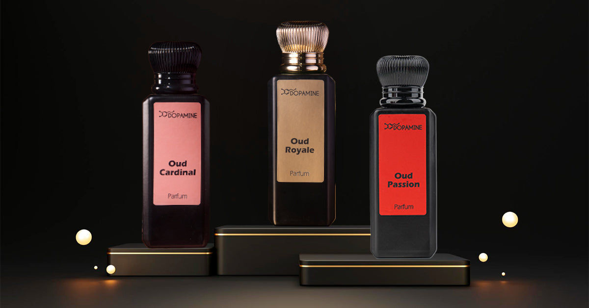 Perfume Pyramid: Types & Importance – Dopamineshop.in