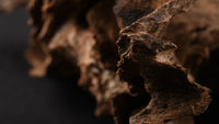 What Is Oud Perfume and What Makes This Scent Unique in Perfumes?