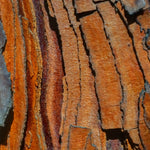Note Image 1