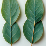 Note Image 1