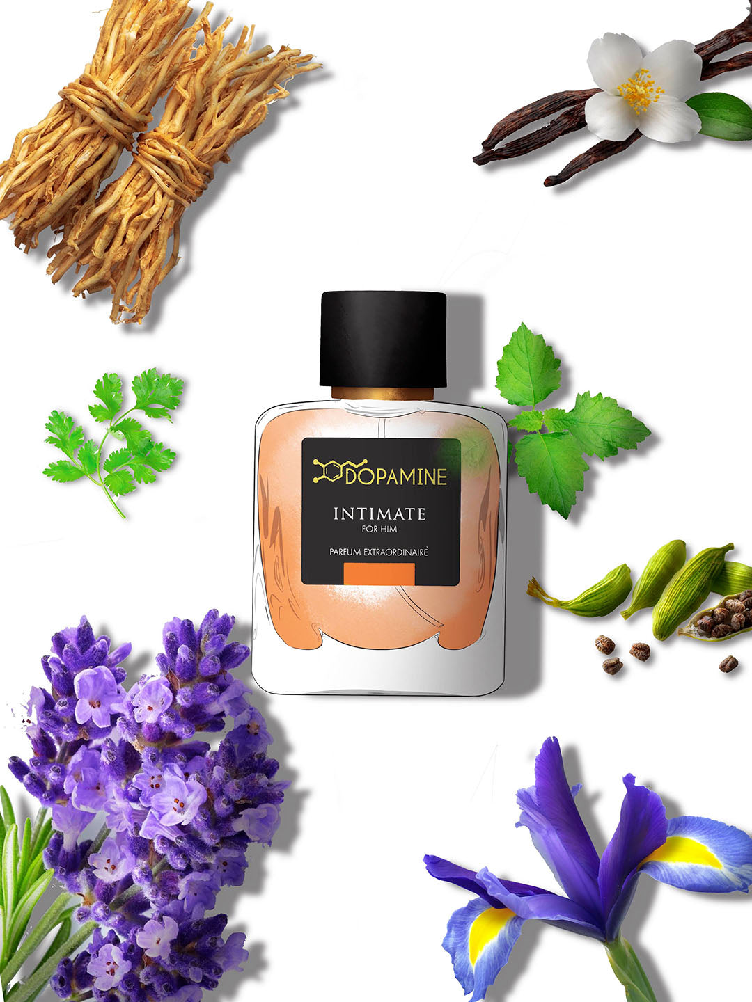 Bottle of Intimate For Men Perfume surrounded by the ingredients contained in the perfume fraghrance